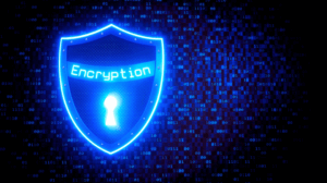 Encryption as a Service