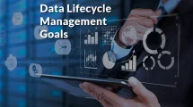 3 Goals of Data Lifecycle Management