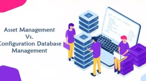 Asset Management vs. Configuration Database Management