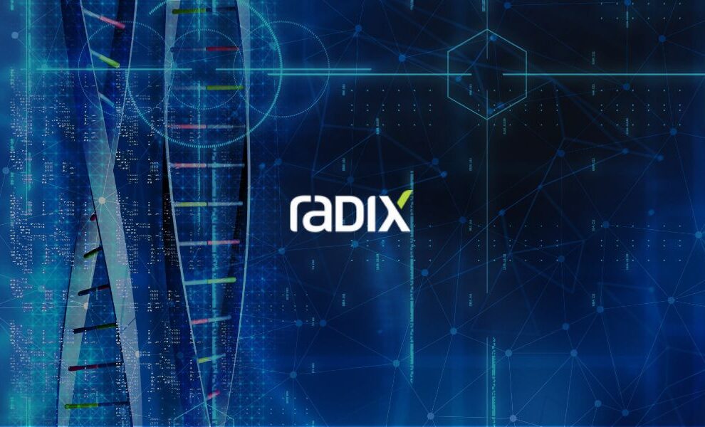 Radix