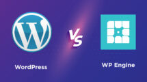 Conflict Between WordPress and WP Engine