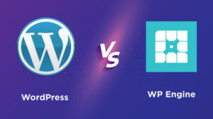 Conflict Between WordPress and WP Engine