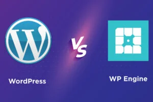 Conflict Between WordPress and WP Engine