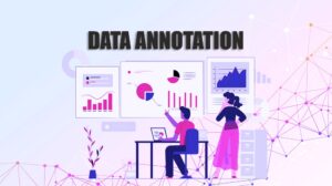 Data Annotation