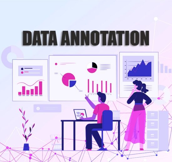 Data Annotation