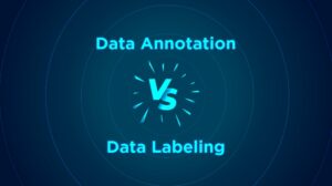 Data Annotation vs Data Labeling