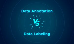 Data Annotation vs Data Labeling