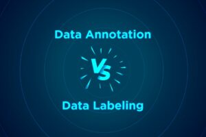 Data Annotation vs Data Labeling