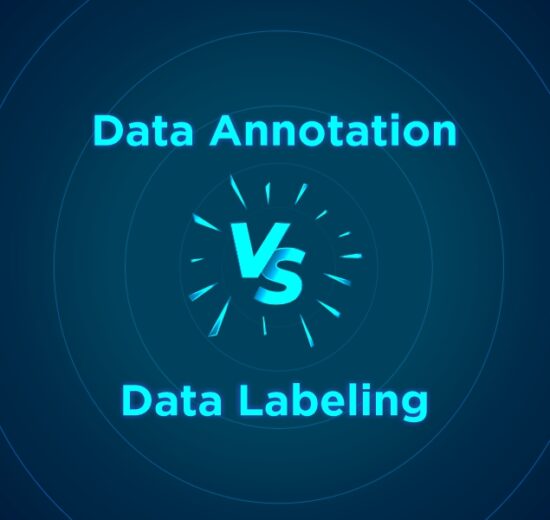 Data Annotation vs Data Labeling
