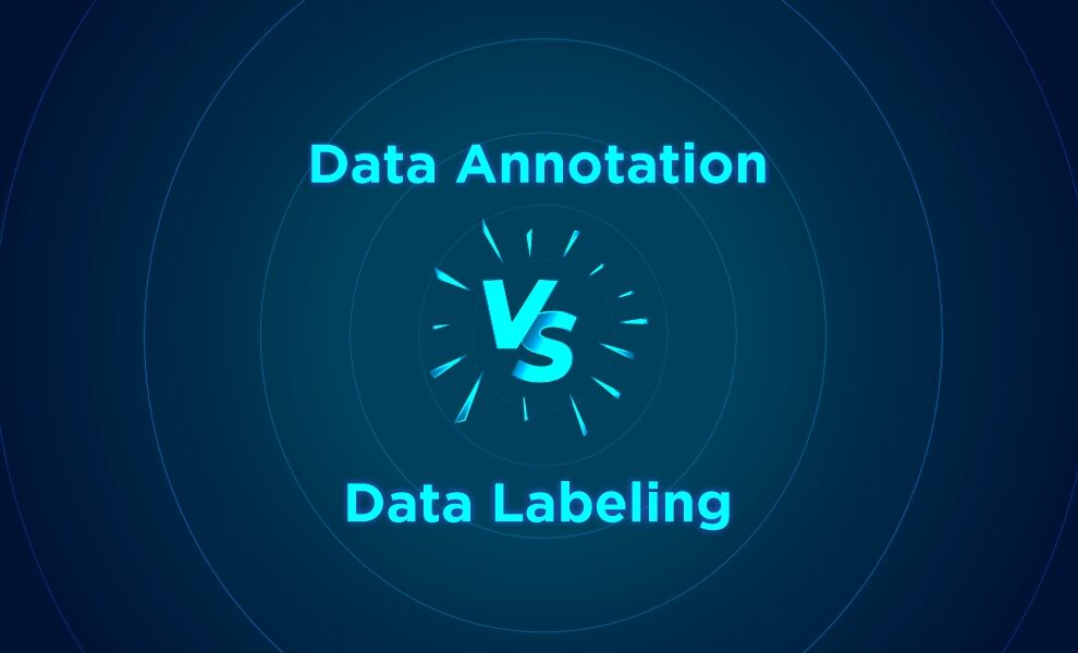 Data Annotation vs Data Labeling