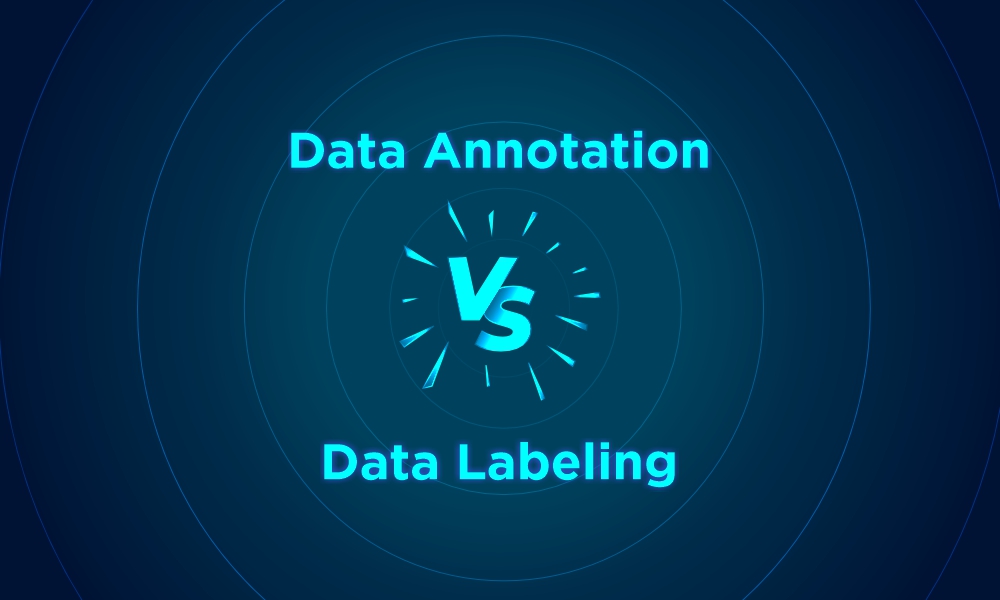 Data Annotation vs Data Labeling: A Rundown of Their Differences