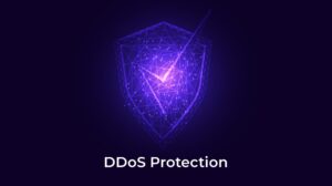 DDoS protection