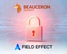 Field Effect and Beauceron