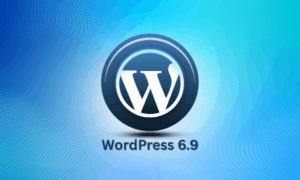 WordPress 6.9