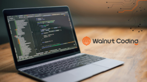 Walnut Coding AI Education