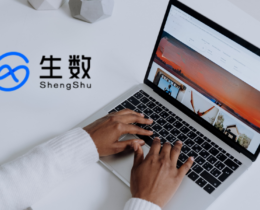 ShengShu Technology Vidu Claw