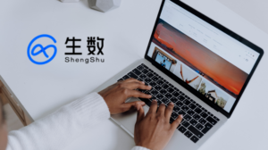 ShengShu Technology Vidu Claw