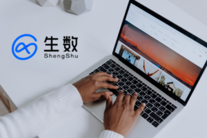 ShengShu Technology Vidu Claw