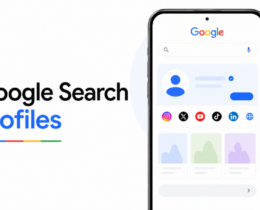 Google Search Profiles