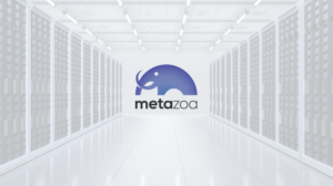Metazoa Org Intelligence Server