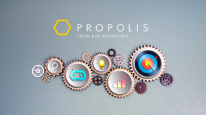 B2B Marketing Propolis AI