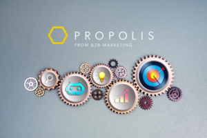 B2B Marketing Propolis AI