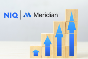 NIQ Google Meridian