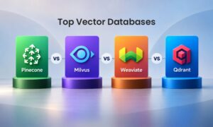 Top Vector Databases